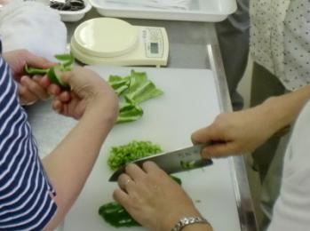 実験のために野菜を切り刻んでいる様子の写真