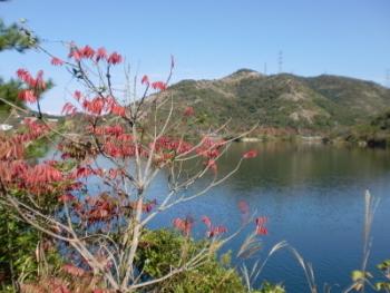 平荘湖の手前に樹木、奥に山が写っている写真