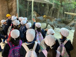 ガラス越しにトラを見ている子どもたちの写真