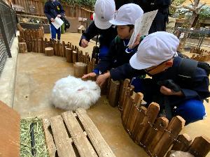 優しくウサギを触っている子ども達の写真