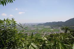 大藤山からの景色