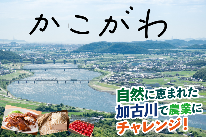 加古川市画像