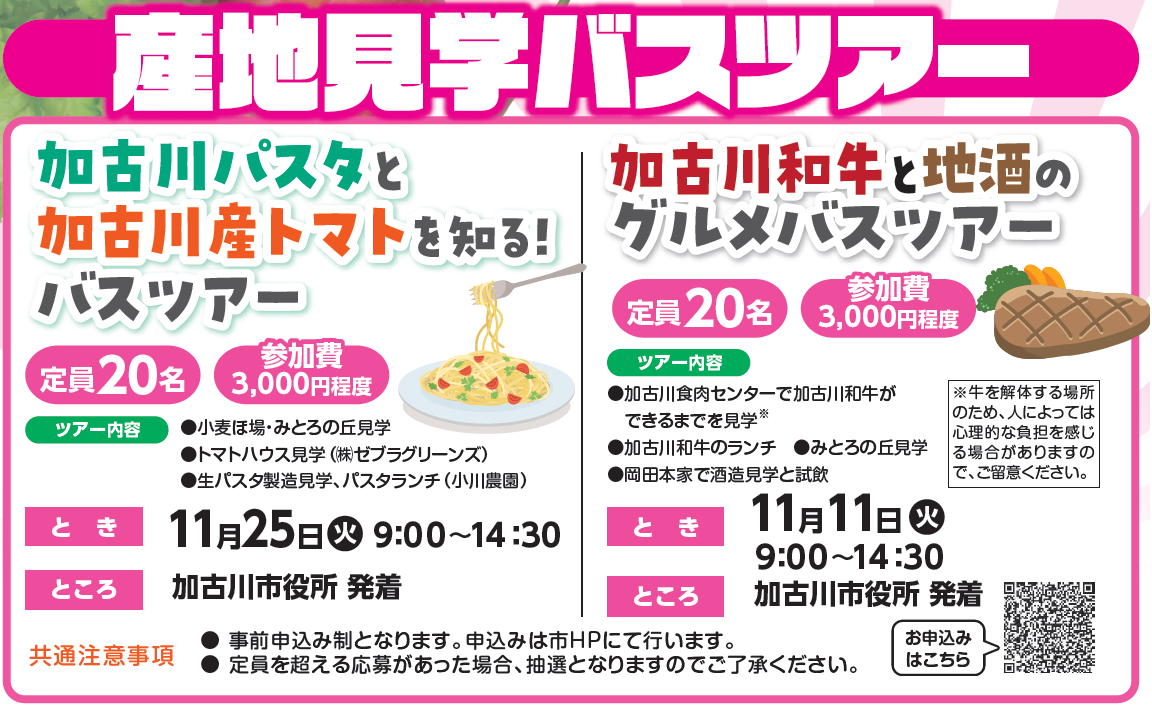 バスツアー画像