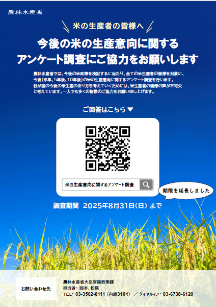 アンケートチラシ