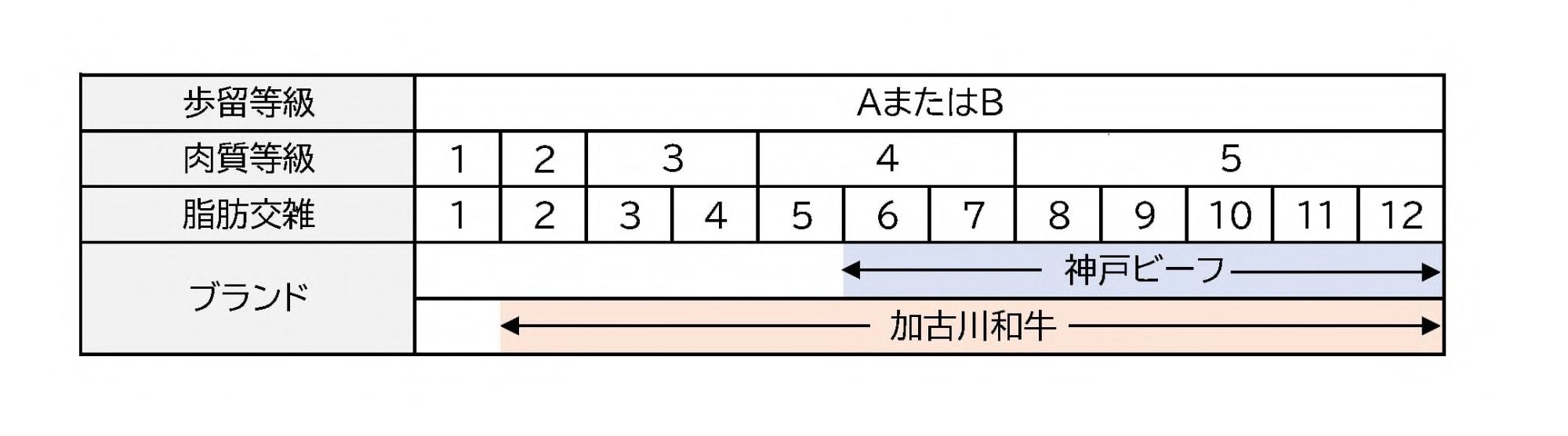 等級表