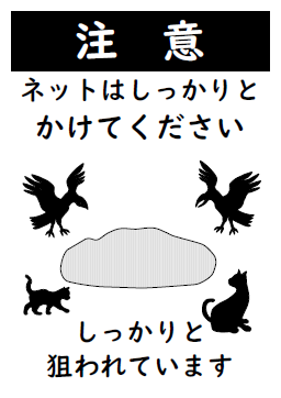 ネットはしっかりサムネ