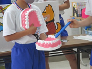 歯と歯ブラシの模型を持った中学生が、歯の磨き方を1年生に教えている。