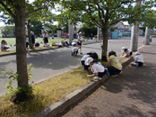 児童と教師が、正門を入ったところの草抜きをしている。
