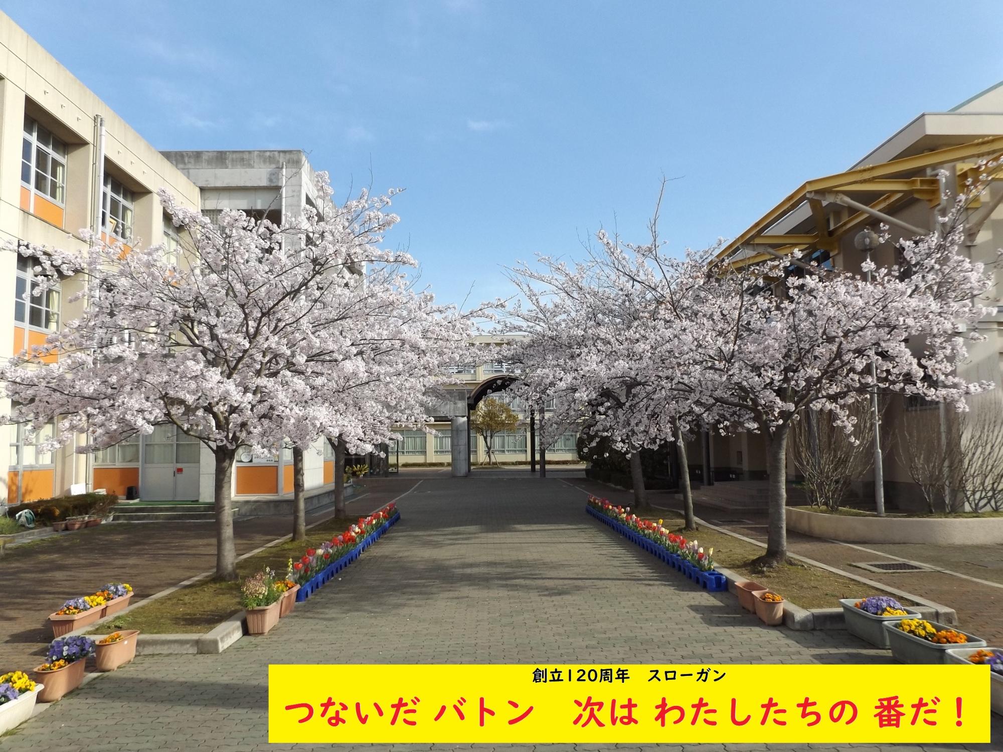 120周年記念トップ画像