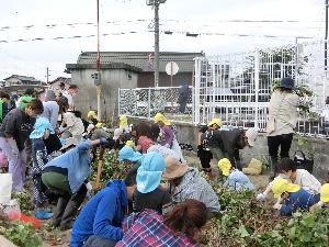 みんなでいもほり楽しいな