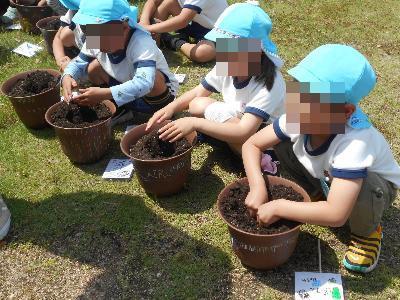 夏野菜の苗を植えよう