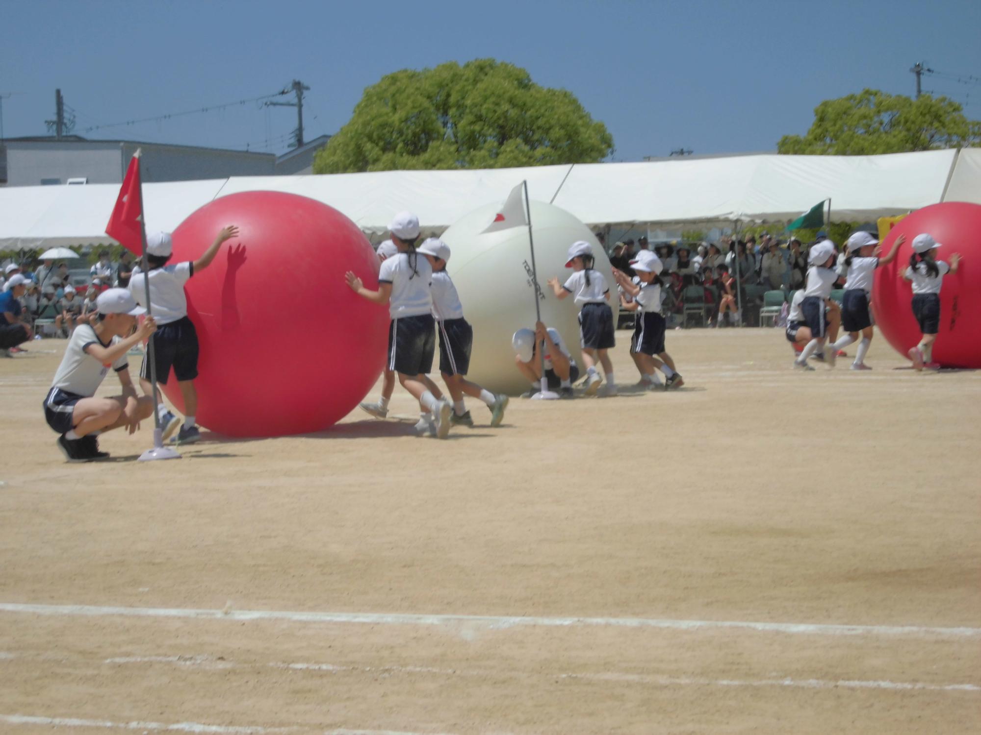 1年生　大玉転がし