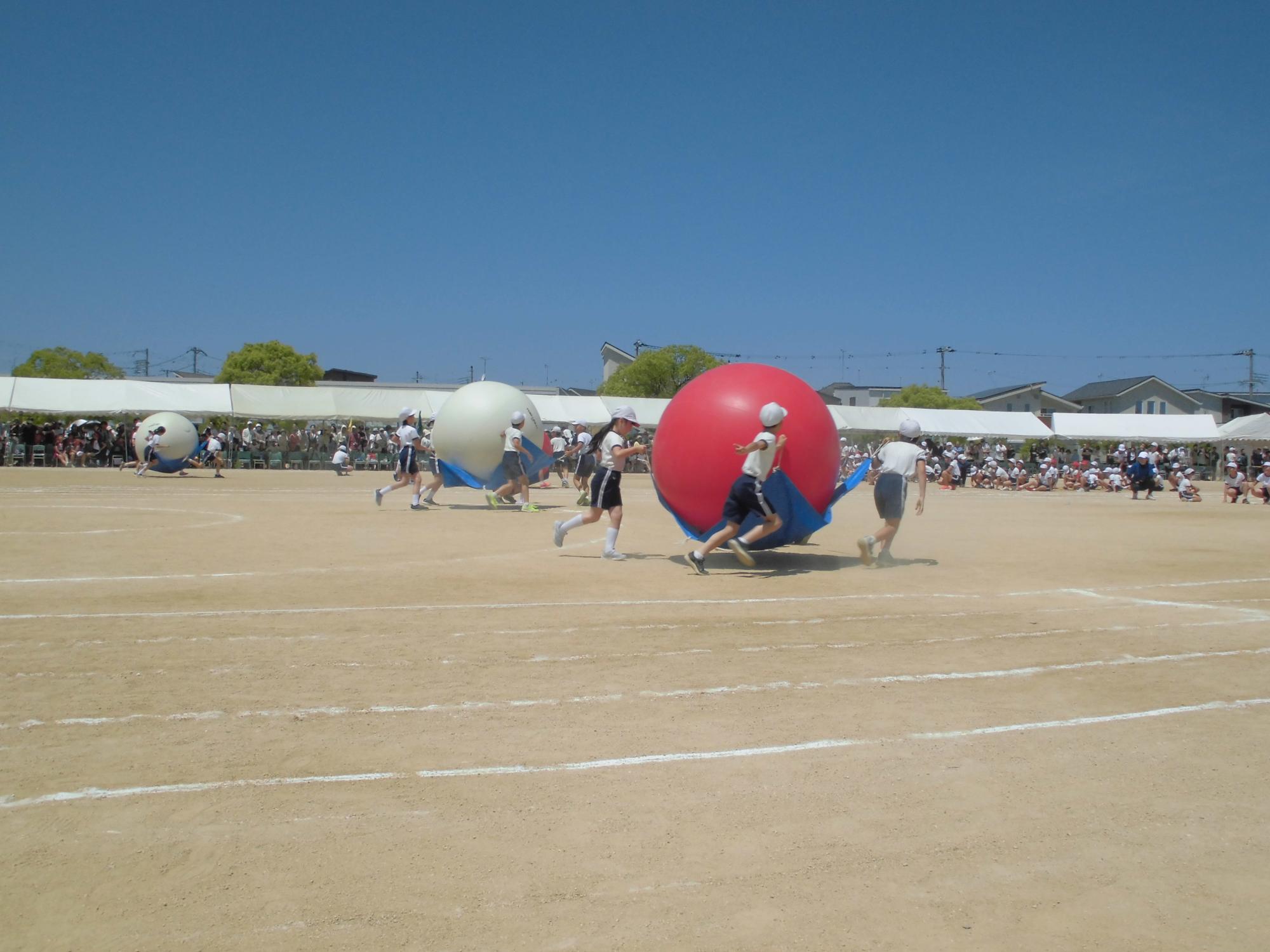 4年生　大玉運び