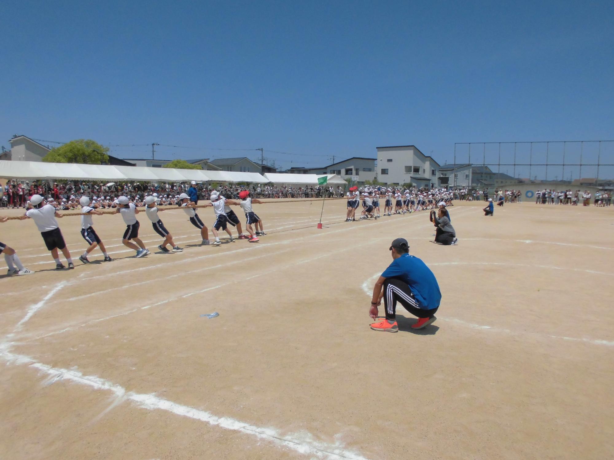 5年生　綱引き