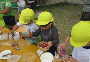 4歳児が花で色水を作っている