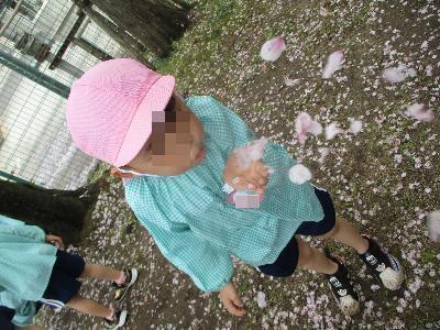 花びら飛ばし