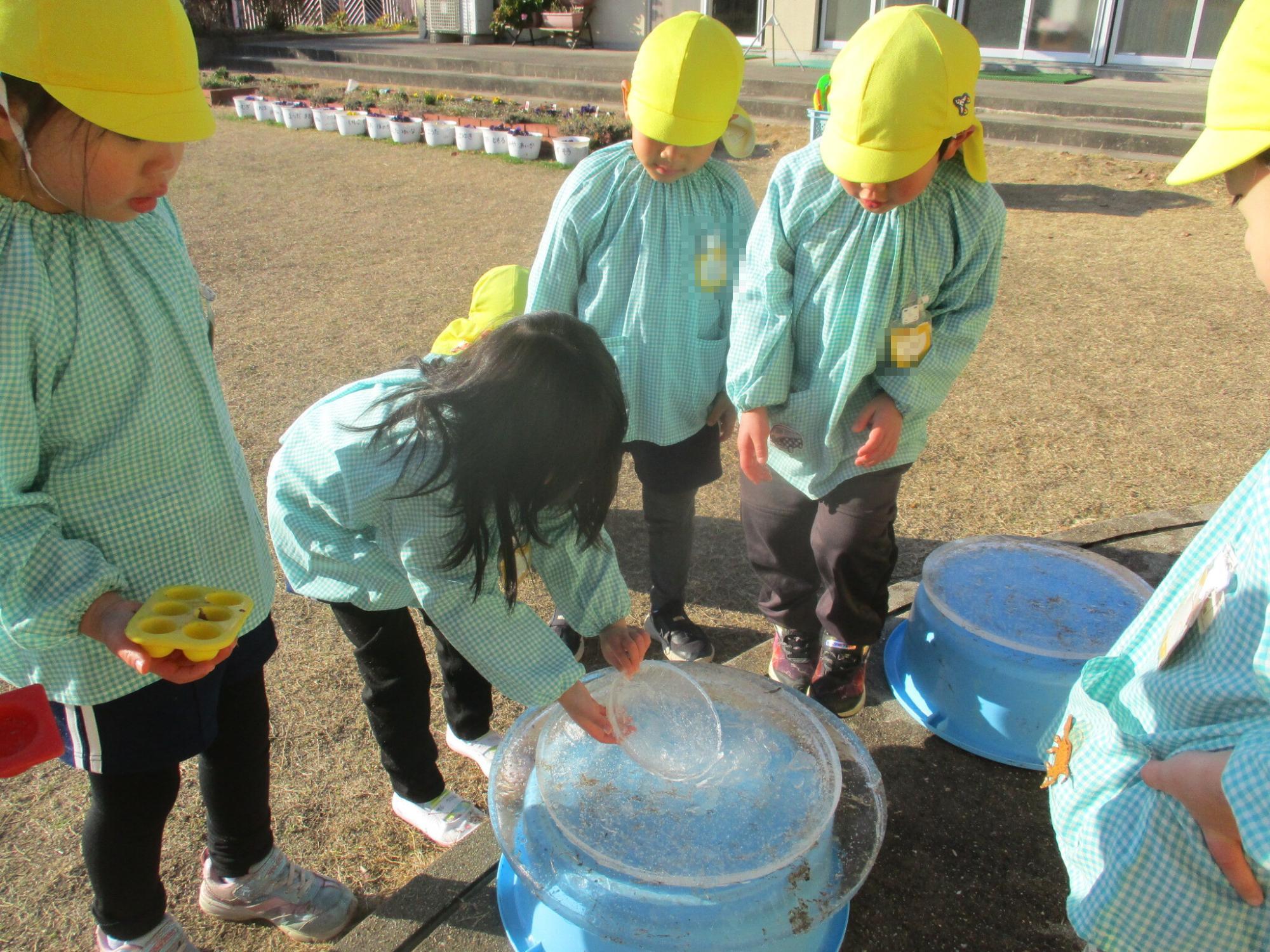 氷のケーキを作る4歳児