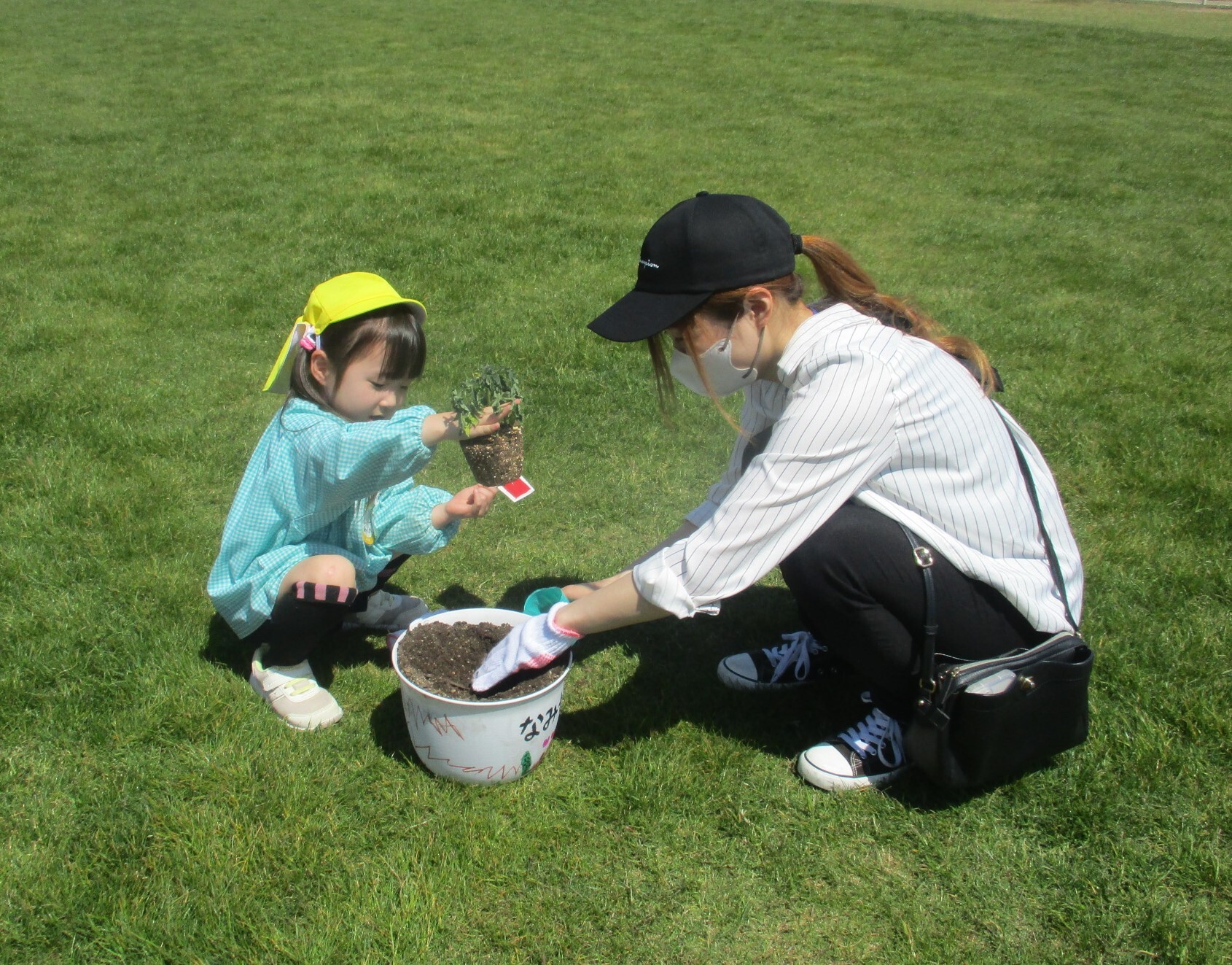 親子で夏野菜を植えている