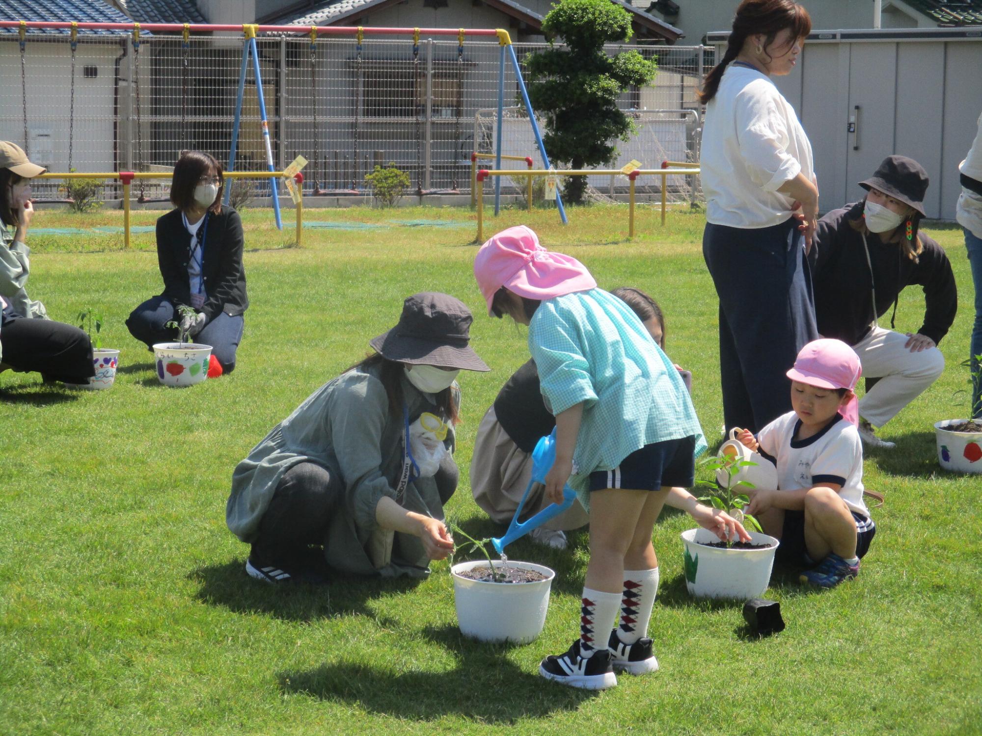 親子で夏野菜を植え、水やりをしている