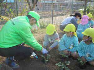 4歳児が地域の方と一緒にイチゴを植えている