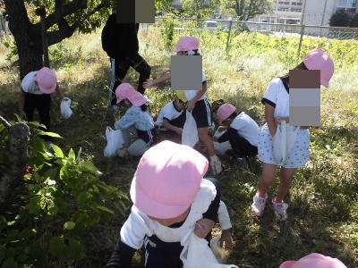 どんぐりを拾う園児