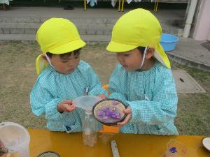 4歳児が色水遊びをしている