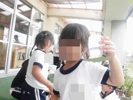 水の実験をする幼児