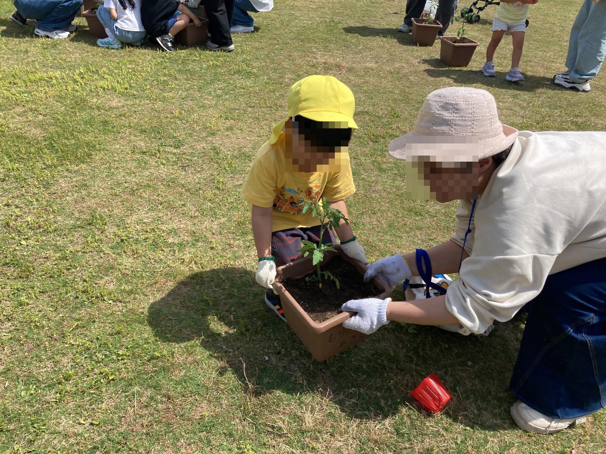 植木鉢を運ぶ親子