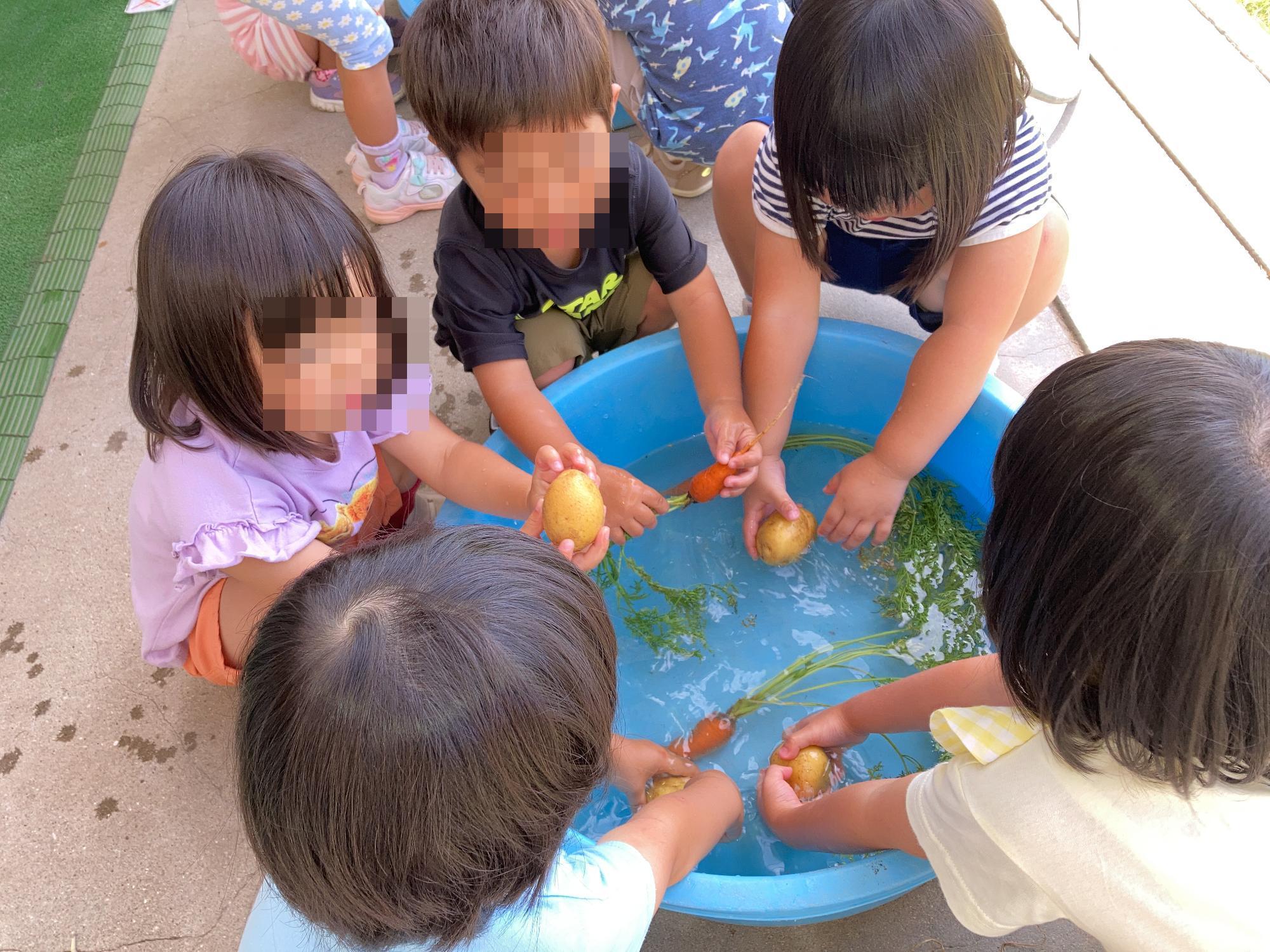野菜を洗う3歳児