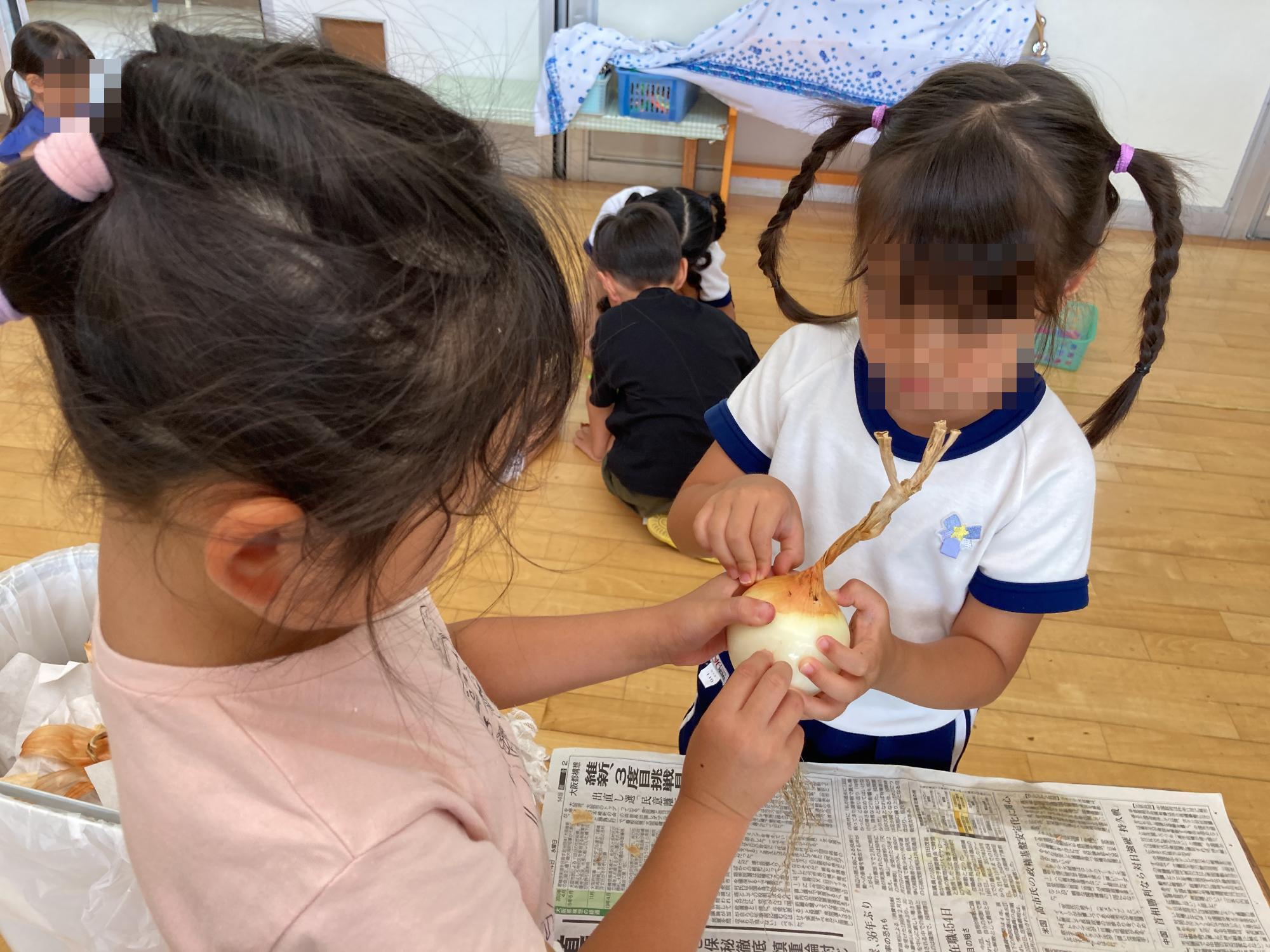 玉ねぎの皮をむく4歳児