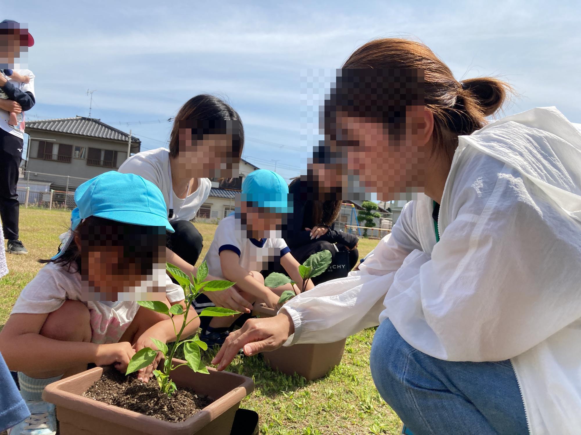 野菜の苗を植える幼児