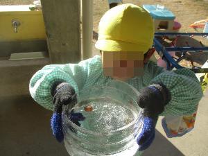 4歳児がバケツに水を張って氷を作ったところ
