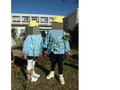 芋のつるで遊ぶ4歳児