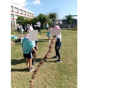 芋の数を数える園児