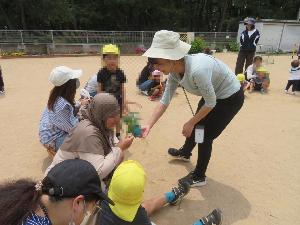 夏野菜の苗のにおいをかいでいるところ