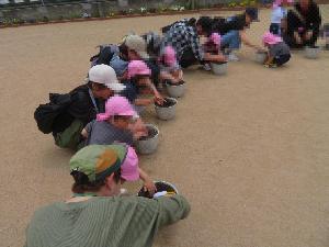親子で夏野菜の苗を植えているところ