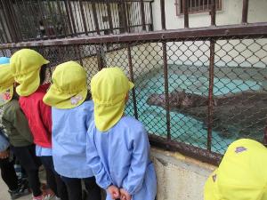 姫路動物園でカバを見ているところ