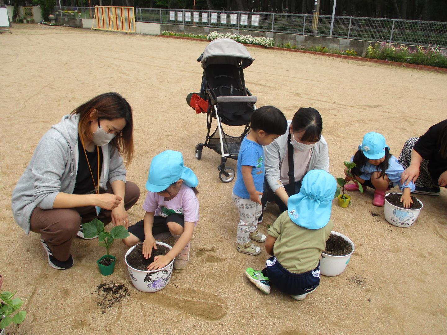 親子で夏野菜を植えている様子。