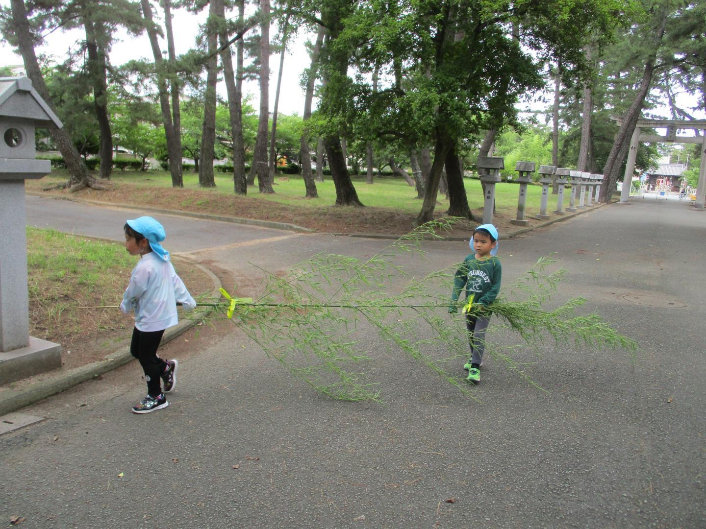 年長児が浜の宮神社から笹を運んでいる様子。