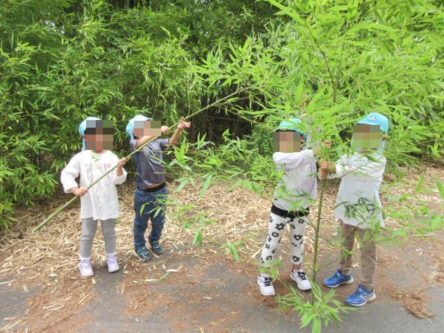 笹を取りに神社へ行く