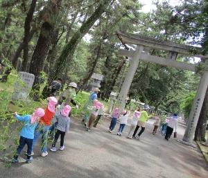 七夕祭りのため長い笹を力を合わせて園まで持ち帰る幼児たち