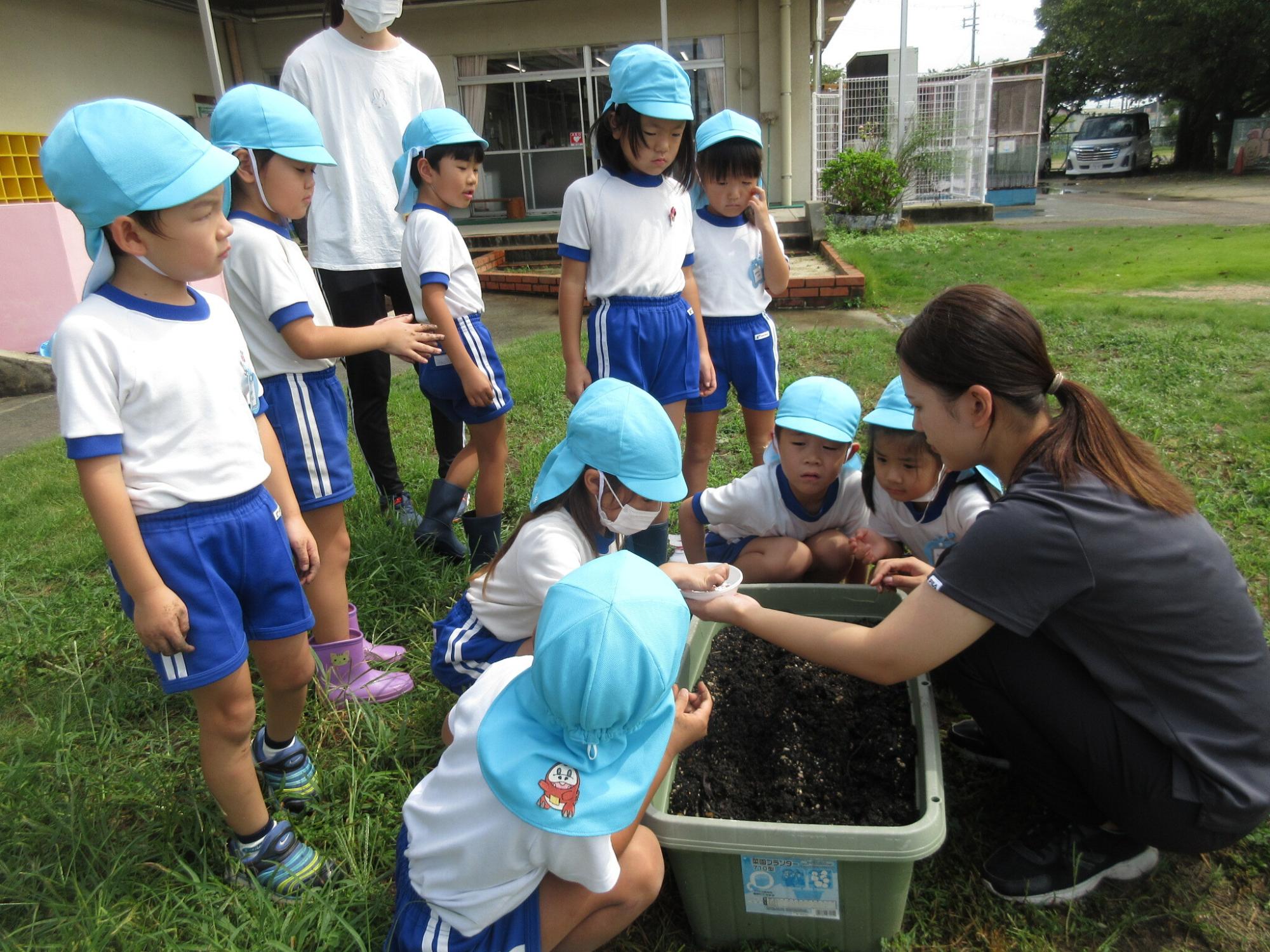 園児と先生で、プランターに秋野菜の種を植えている様子