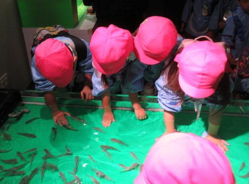 幼児がドクターフィッシュの水槽に手を付けている様子