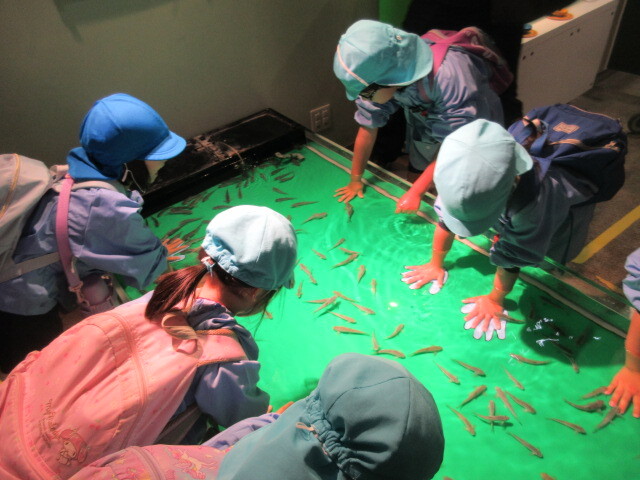 幼児がドクターフィッシュの水槽に手を付けている様子