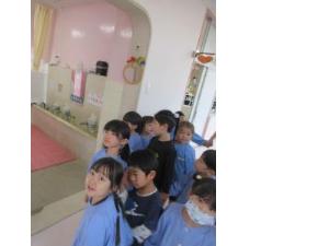 幼児が園内巡りをしているところ