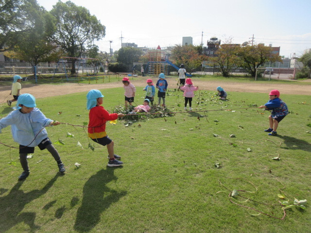 幼児が芋づるで綱引きをする様子