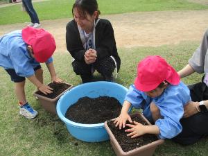 植木鉢に土を入れているところ