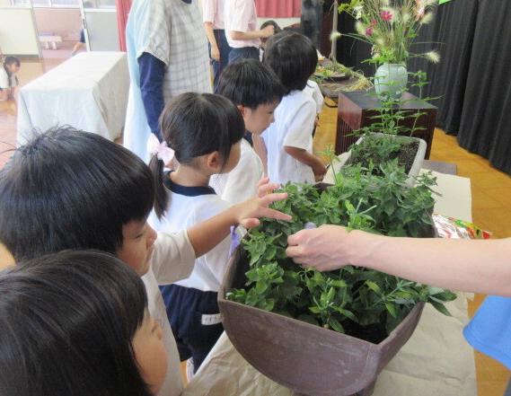 幼児が秋の七草に触れる様子