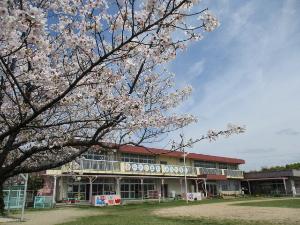 桜と園舎
