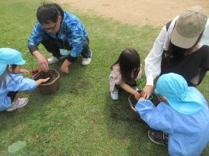 年長児が夏野菜を植えているところ